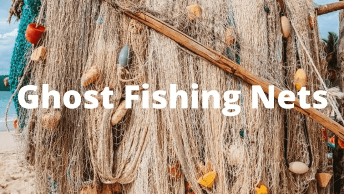 Sustainable Swimwear Made From Ghost Fishing Net