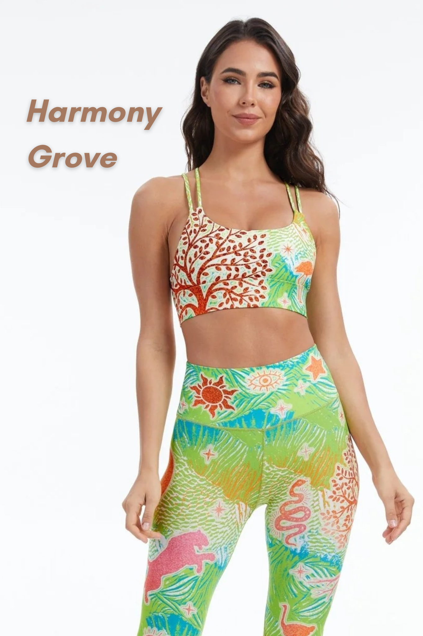 XXL Bra Clearance Sale | Limited Stock