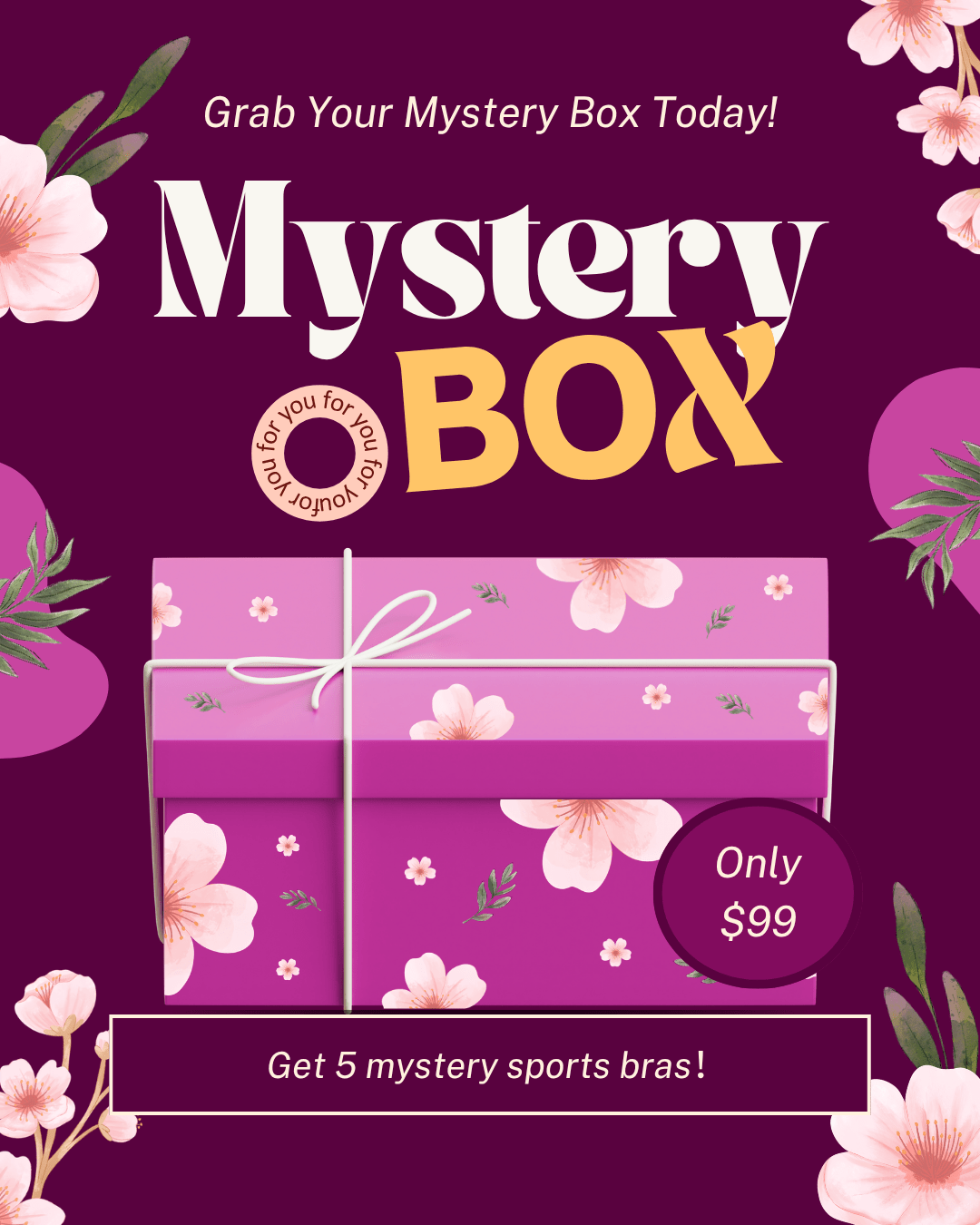 Mystery Box (5 Sports Bras) - MYSILVERWIND