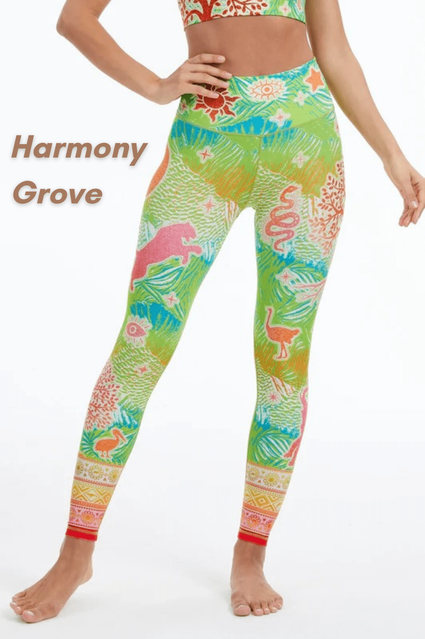 XXL Leggings Clearance Sale | Extended Plus Size Activewear | Limited Stock - MYSILVERWIND